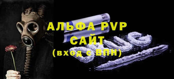 стаф Тында