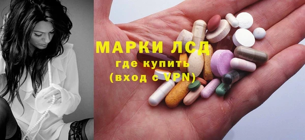 прущие грибы Туринск