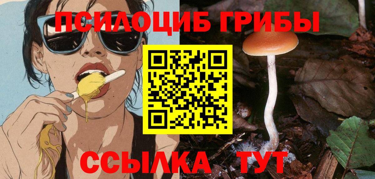 Псилоцибиновые грибы Psilocybe Екатеринбург