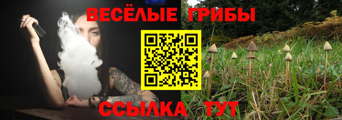 Псилоцибиновые грибы прущие грибы  Псилоцибиновые грибы Psilocybe  Екатеринбург 