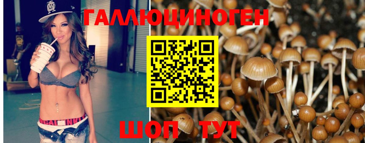 Галлюциногенные грибы Psilocybe  Вход с VPN  Екатеринбург 